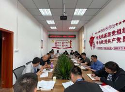公司三支部召開黨員大會暨“形式主義、官僚主義”集中整治工作會