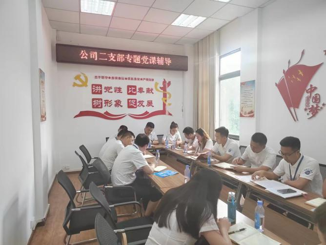 公司二支部開展“齊力共進(jìn)、強(qiáng)企有我” 主題黨日活動(dòng)