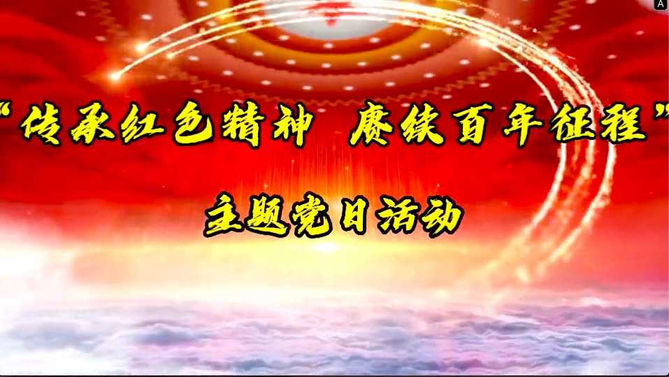 傳承紅色精神，賡續(xù)百年征程-共產(chǎn)黨員服務(wù)大隊主題黨日活動